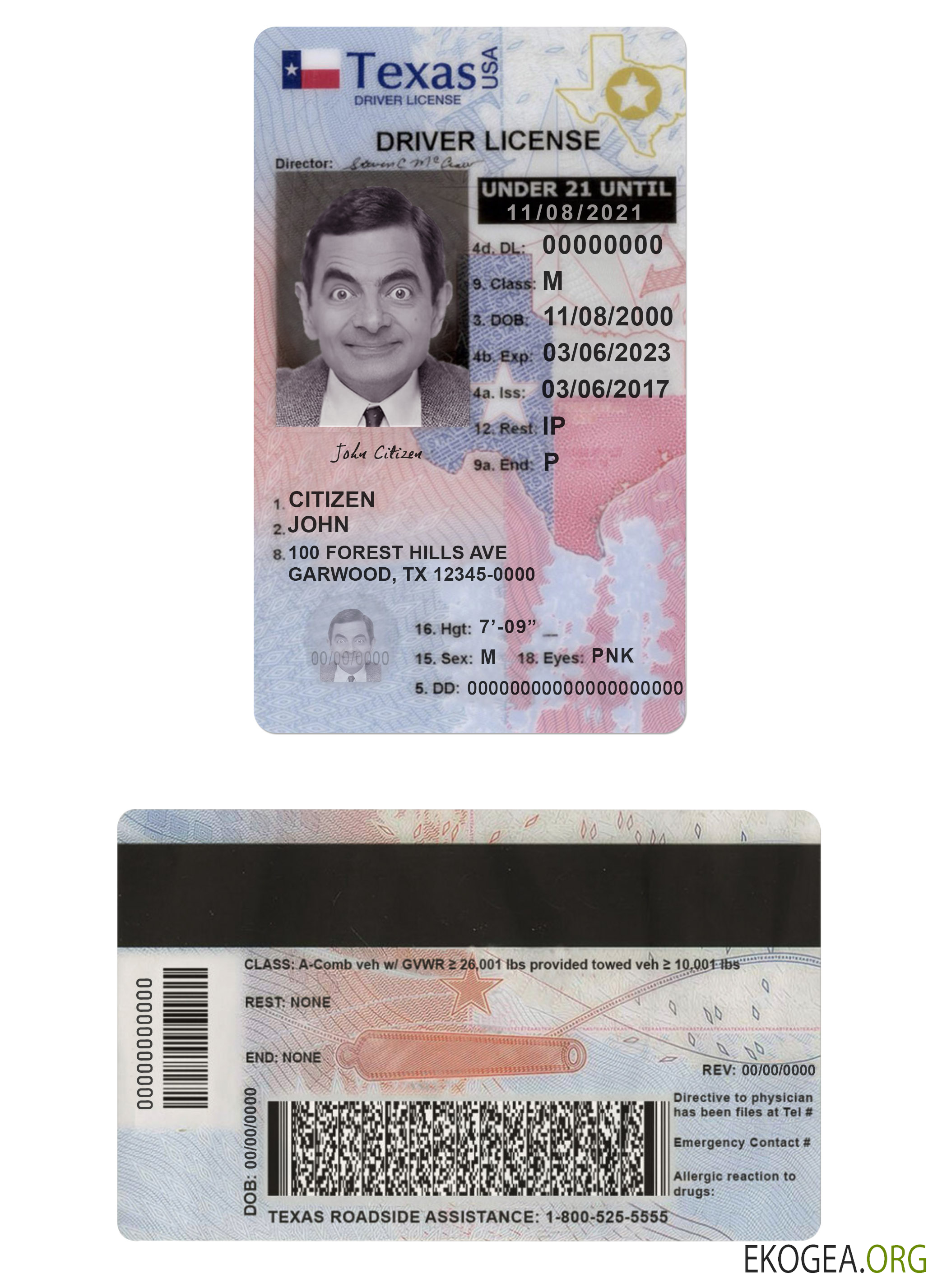 Usa Texas driving license under 21 template